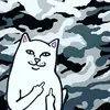 Darius Law - @2180676486 - TikTok