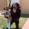 MexicanTow - @dariuslee19 - TikTok