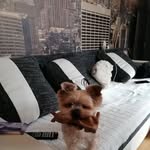 Darius Levý - @darius.levy - Instagram