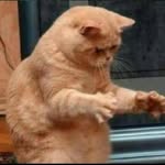 Darius Li - @darius.sufferinhell - Instagram