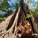 Darius - @darius.ling_ - Instagram