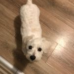 Darius_Logan - @darius_logan_ - Instagram