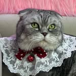 Король Дариус - @_dariuslove_ - Instagram