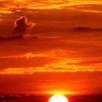 Darius Ludwig - Facebook