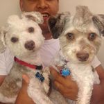 Maddox&Darius - @maddox.darius - Instagram