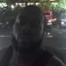 Darius Maxwell - Facebook