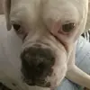 Darius May - @darius.may - TikTok