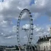 maybe_darius - @maybe_darius - TikTok