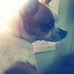 Darius Mayes - Facebook