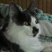 Doris Mccloud - Facebook