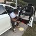 Darius Mcdonald - Facebook