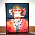 Darius Dingle Monkey - @monkeyingaroundwithdarius - Instagram