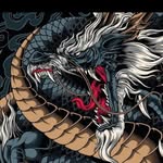 Darius Drăghici - @darius_monkey780 - Instagram