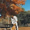 dariusmonkonzo1 - @dariusmonkonzo1 - TikTok