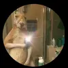 Darius Morales - @darius.morales0 - TikTok
