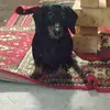 Darius Munoz - @darius.munoz6 - TikTok