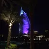 dariusnabavi - @dariusnabavi - TikTok