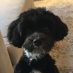 Darius Newton - @darius.newton.94651 - Instagram
