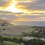 Darius Oliver - @planet_golf - Instagram
