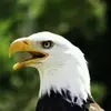 dariusortiz - @dariusortiz - TikTok