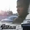 Darius Padgett - @accordsprince - TikTok
