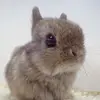 🌊Darius_Padgett_🌊 - @🌊Darius_Padgett_🌊 - TikTok