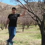 dariush.parham - @dariush.parham - Instagram