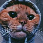 Darius Patrick - @dariustinc - Instagram