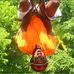 Darius Patterson - Facebook