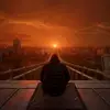Darius Peterson - @darius.peterson0 - TikTok