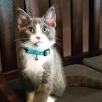 Darius Pfeifer - @darius.pfeifer - Instagram