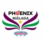 Phoenix Darts Málaga - Facebook