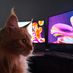 Darius Posey - Facebook