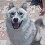 Darius Ramirez - @iuz123 - Instagram
