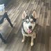 Darien Ritchie - Facebook