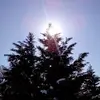 dariusritchie - @dariusritchie - TikTok