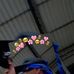 Darius Rodríguez - Facebook