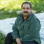 @dariush.rohani.2016 - Instagram
