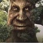 Darius Singleton the 69TH - @pvztrollface - Instagram