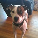 darius starks - @darius_s_21 - Instagram