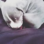 Darius Terry - @dariusterry35 - Instagram