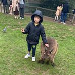 Darius Wong - Facebook