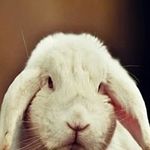 Dariusz Biskupski - @dariuszbiskupski - Instagram
