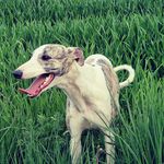 Dariusz Borowski - @dbo5678 - Instagram