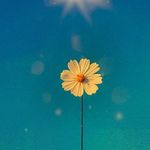 Dariusz bujak - @dariusz5002 - Instagram
