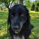 Dariusz Dąbrowski - @dariusz.dabrowski.96558 - Instagram