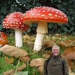 Dariusz Markowski - @darmar1402 - Instagram