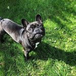 Dariusz Markowski - @dariusz.markowski.1213 - Instagram