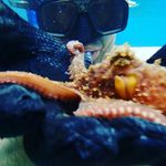 Darko Dragic - @dradanet - Instagram
