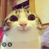 Darko Kovacevic - @darko.kovacevic3 - TikTok